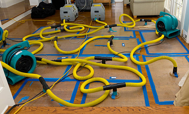 Professional Water Extraction technician working in Elk Grove, CA
